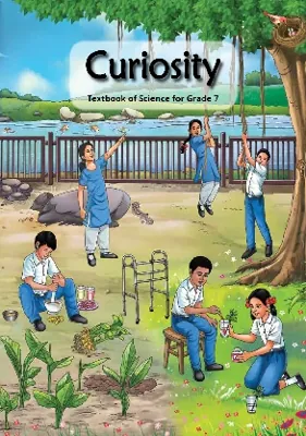 Curiosity Class 7 NCERT