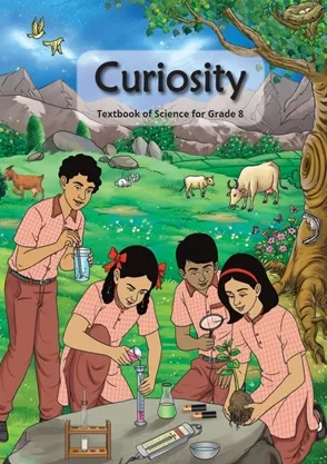 Curiosity Class 8 NCERT